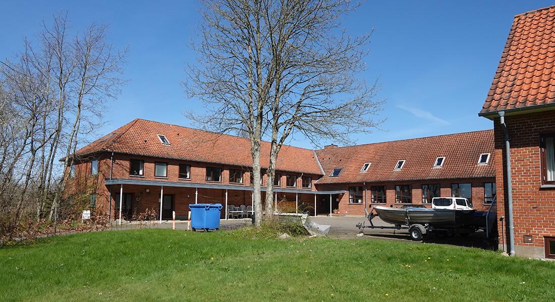 Salten Skov set udefra. Foto: Kirsten Seestern Christoffersen